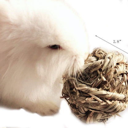 EcoChew™ | Natural Timothy Grass Activity & Dental Ball