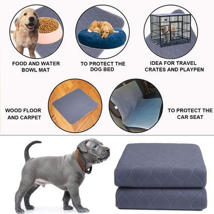 DryShield™ | Ultra-Absorbent Washable Pee Pad & Training Mat