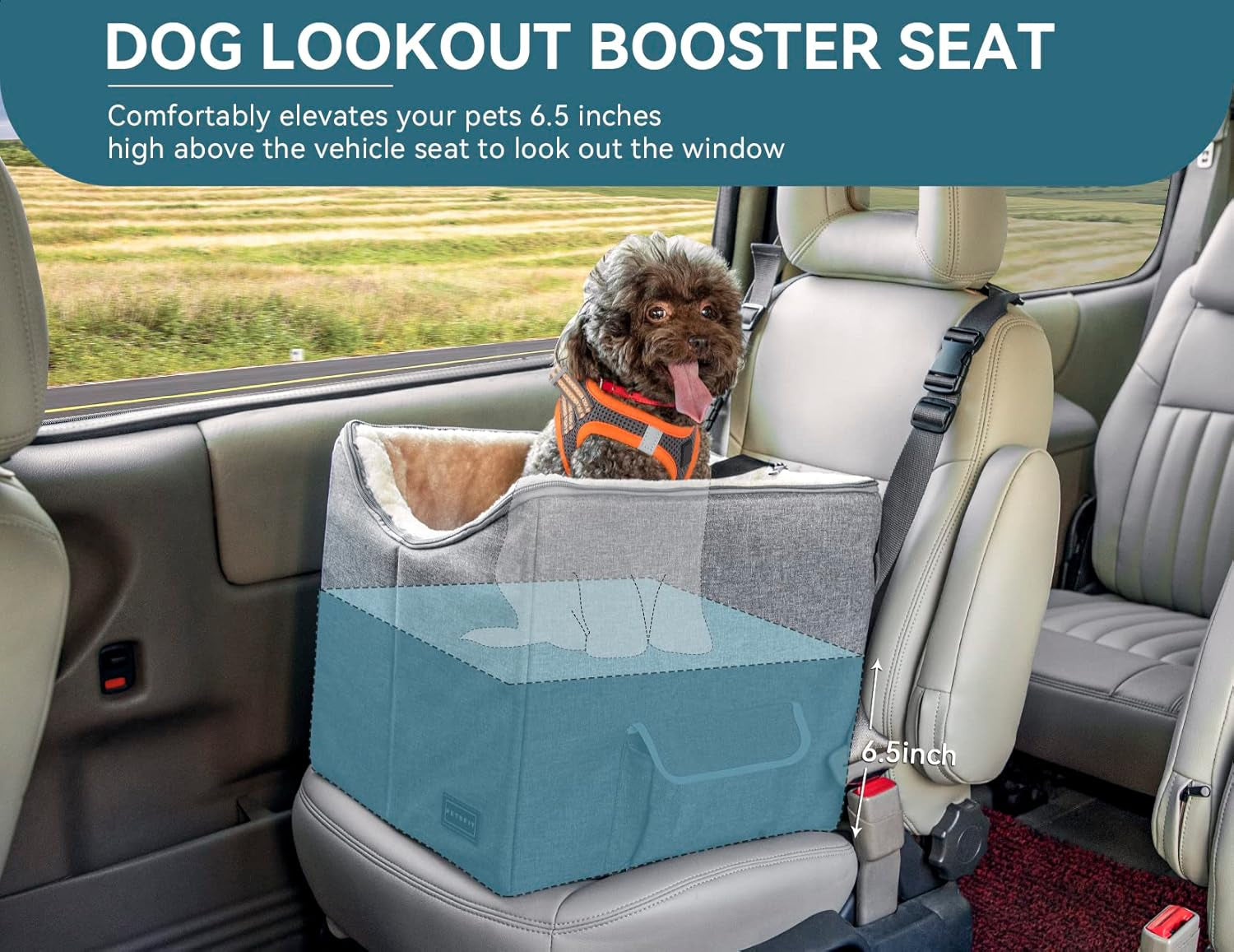 TravelNest™ | Premium Dog Car Booster Seat & Travel Bed
