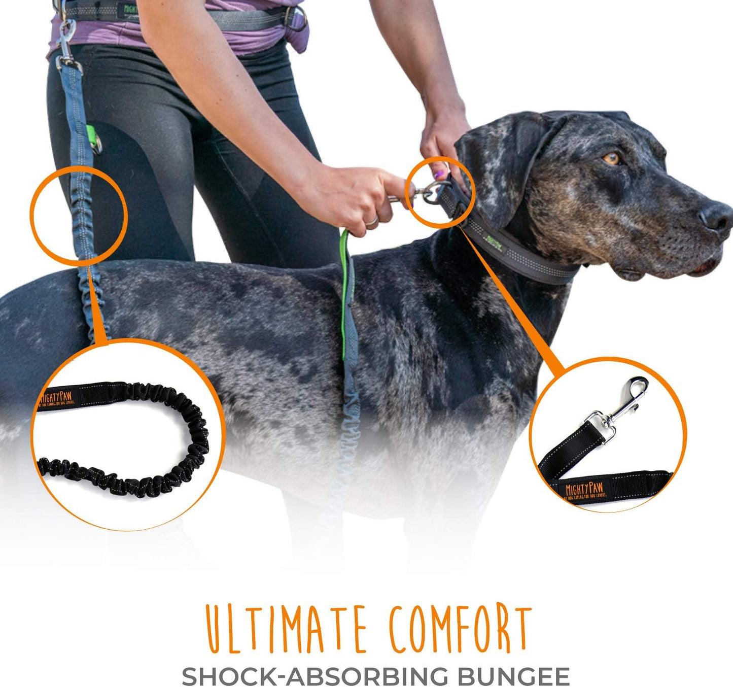 PaceGlide™ | Shock-Absorbing Hands-Free Bungee Leash & Waist Belt