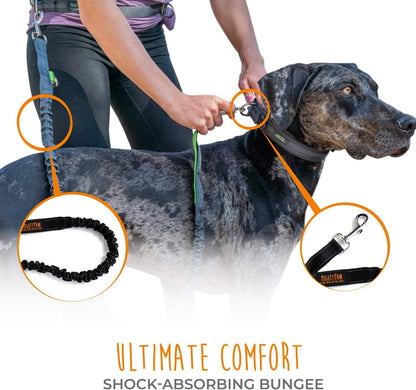 PaceGlide™ | Shock-Absorbing Hands-Free Bungee Leash & Waist Belt